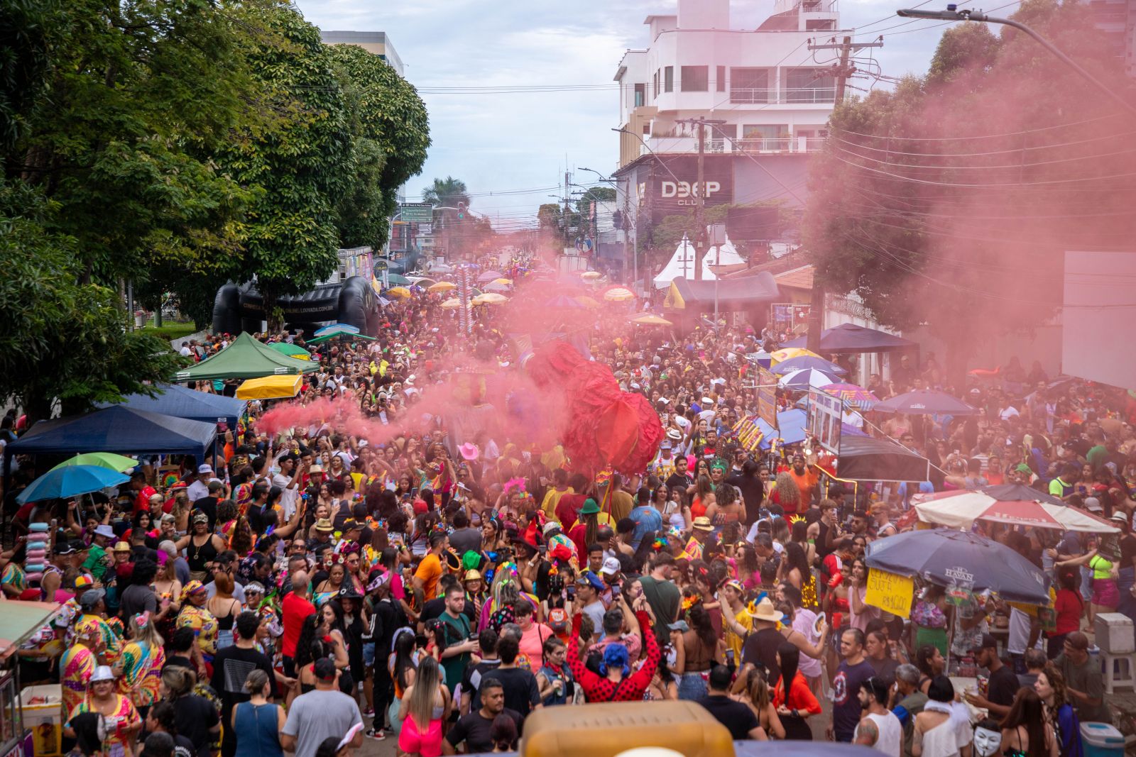 Pirarucu do Madeira desfila no próximo dia 7 de fevereiro, no circuito Pinheiro Machado
